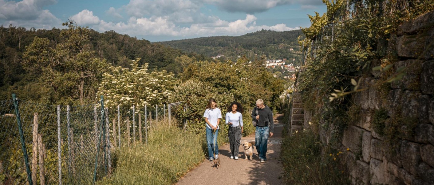 Schimmelhüttenweg, © Stuttgart-Marketing GmbH, Sarah Schmid