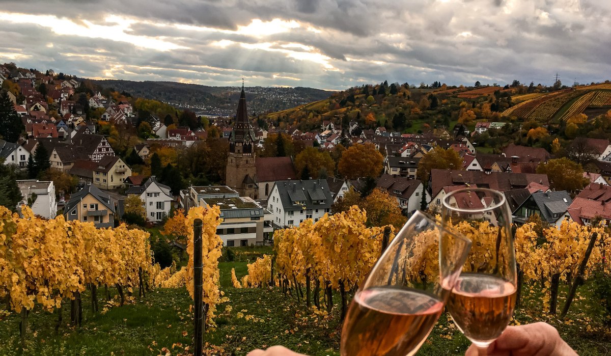 Toasting in the vineyard, © Stuttgart-Marketing GmbH