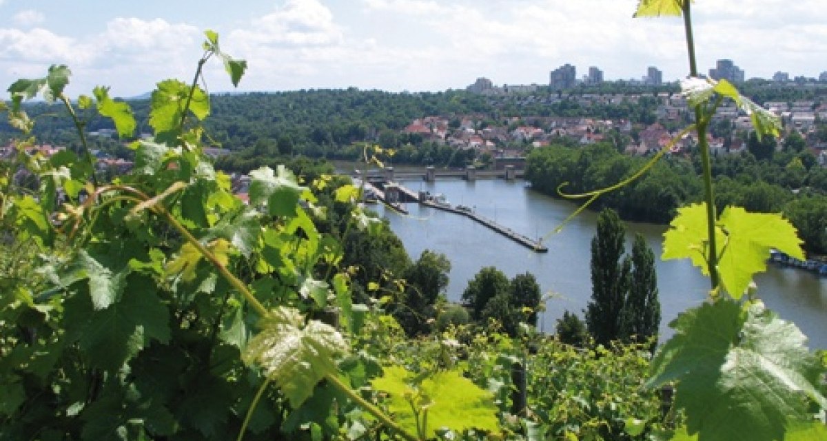 From Lake Max-Eyth to Mühlhausen, © Stuttgart-Marketing GmbH