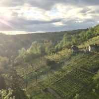 Dürrbach valley, © Vintage Winery Stuttgart