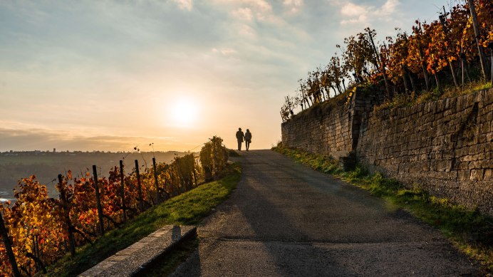 Zwei schemenhafte Personen spazieren auf einem Weinwanderweg, fotografiert im Gegenlicht der tiefstehenden Sonne. Links und rechts des Weges sind Weinreben mit buntem Herbstlaub., © SMG, Frank Hoerner