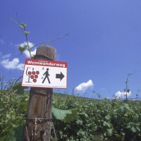 Weinwanderweg Rohracker, © Stuttgart-Marketing GmbH