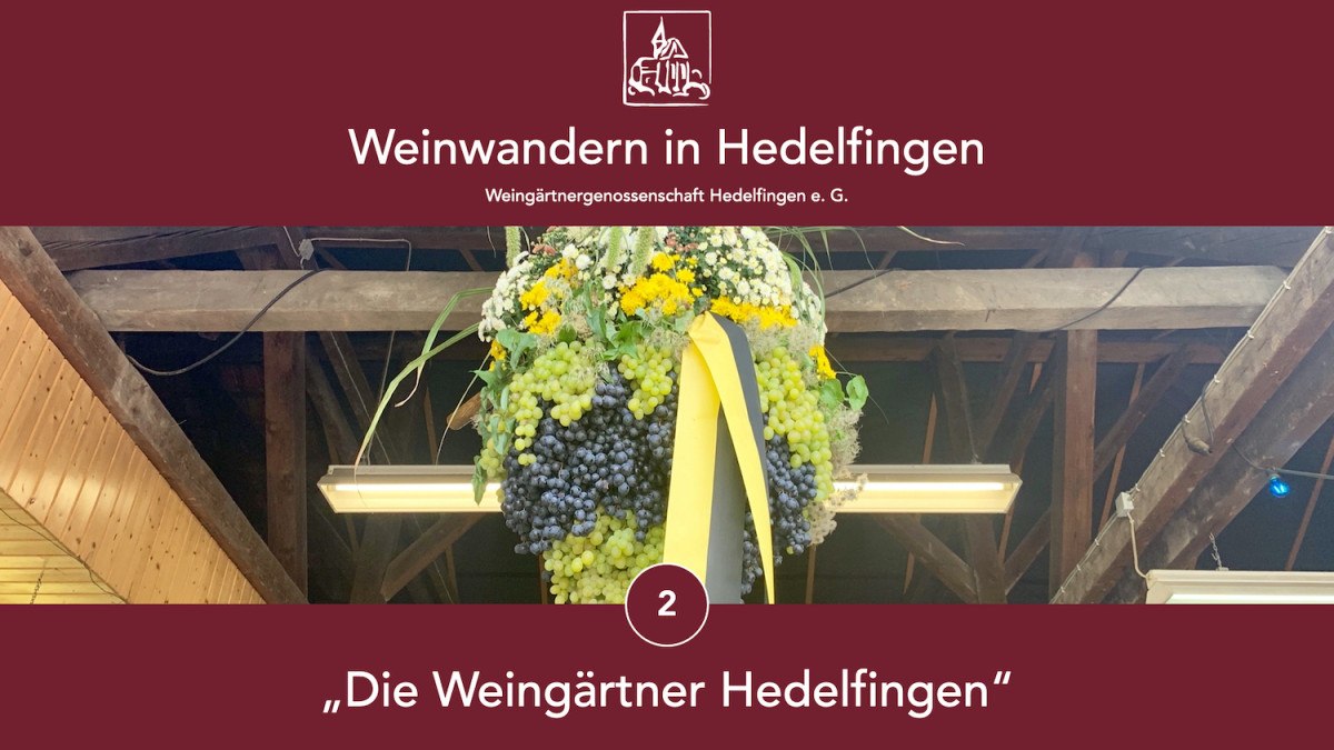 Weinwandern in Hedelfingen, © Lukas Alperowitz