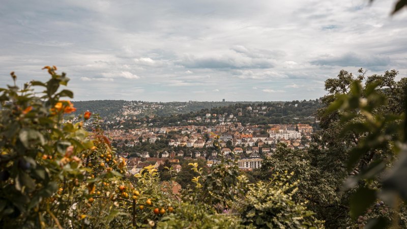 Panoramaweg West Aussicht, © Stuttgart-Marketing GmbH, Sarah Schmid