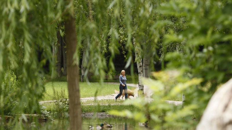 Stuttgart Palace Gardens, © Stuttgart-Marketing GmbH, Christoph Düpper