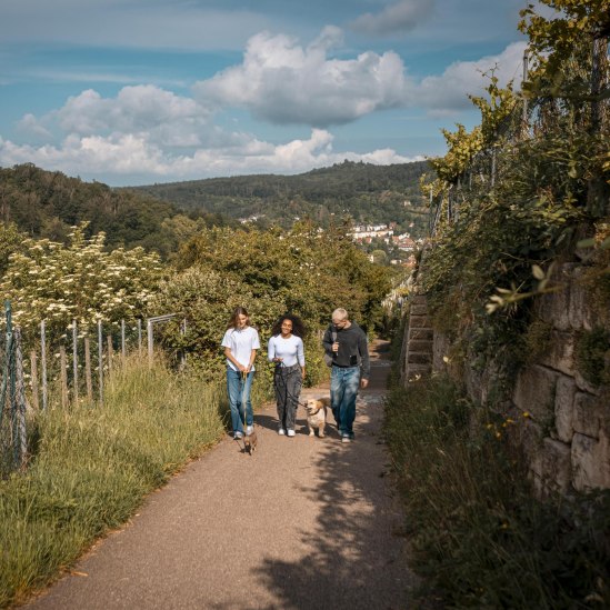 Schimmelhüttenweg, © Stuttgart-Marketing GmbH, Sarah Schmid