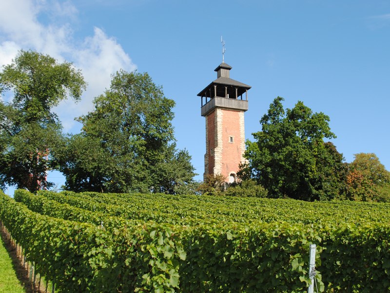 Weingut Peter Mayer, © Weingut Peter Mayer