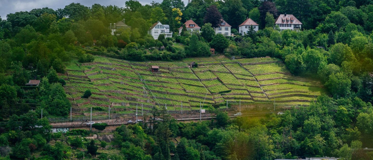 Blick auf Weinsteige, © Thomas Niedermüller