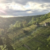 Dürrbachtal, © Vintage Winery Stuttgart