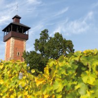 Burgholzhof observation tower Stuttgart, © SMG, Achim Mende