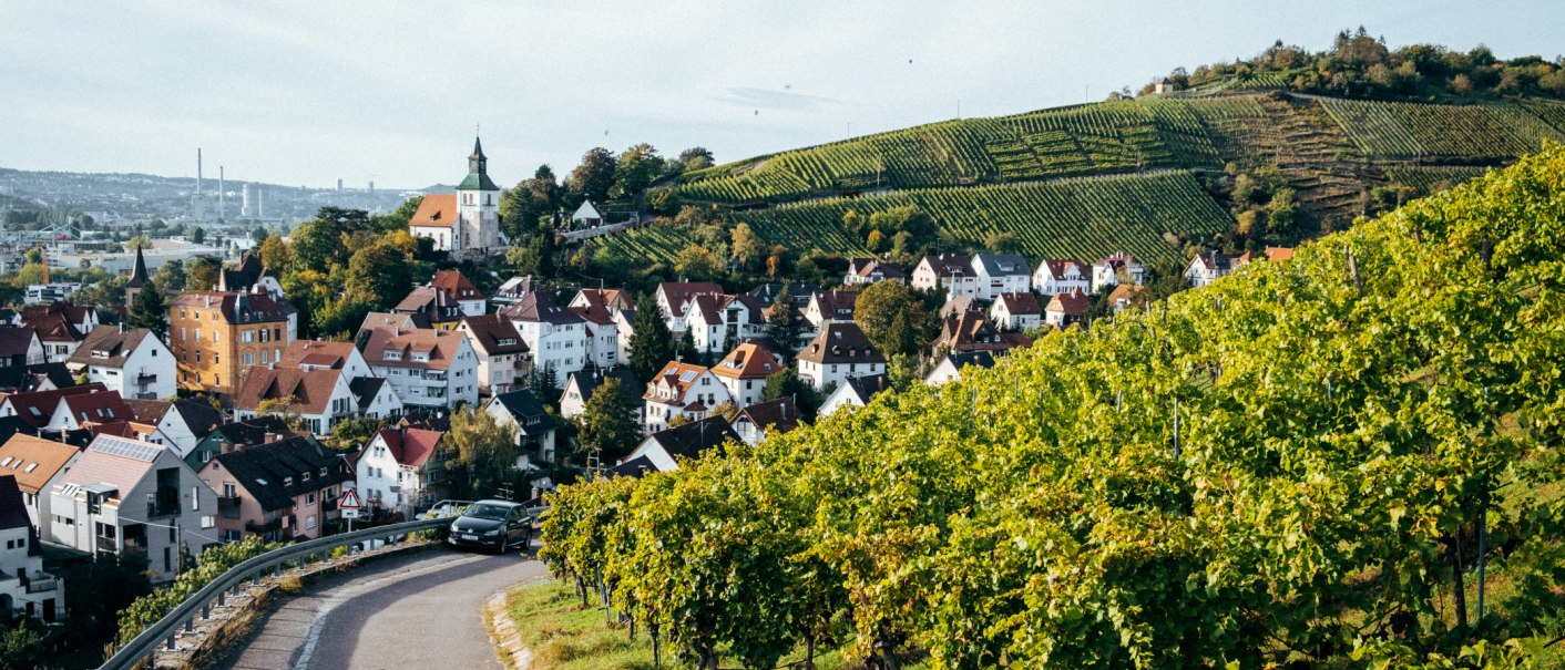 Grape harvest at the Zaiß winery, © Weingut Zaiß