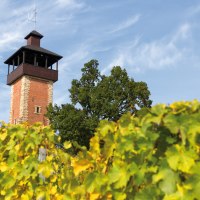 Aussichtsturm Burgholzhof Stuttgart, © SMG, Achim Mende