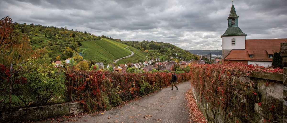 Wine trail in Obertürkheim, © Stuttgart-Marketing GmbH