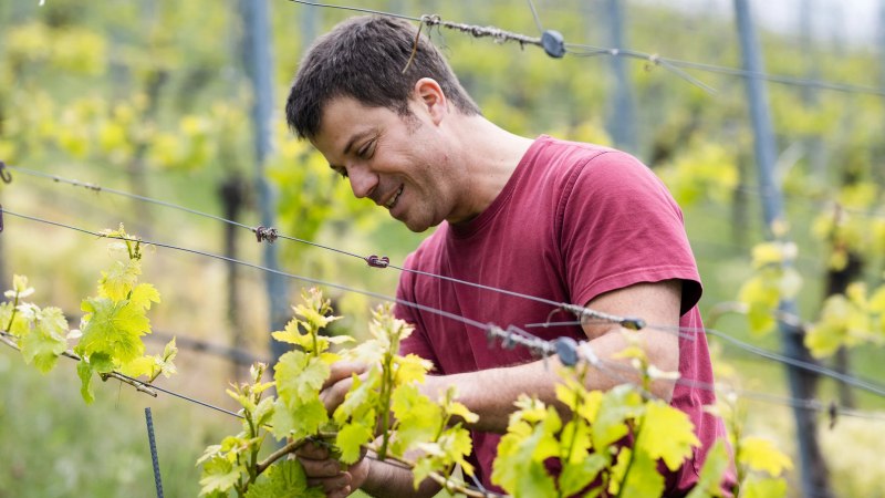 Christian Zaiß, © Weingut Zaiß