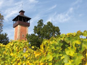 Aussichtsturm Burgholzhof Stuttgart, © SMG, Achim Mende