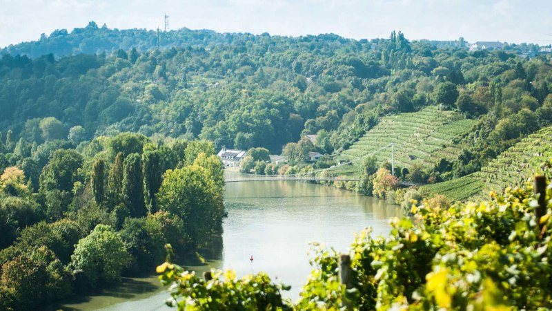 Neckarschleife und Weinberge, © Weingut Zaißerei